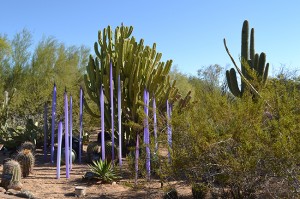 Chihuly at Desert Botanical GardenDSC_1430