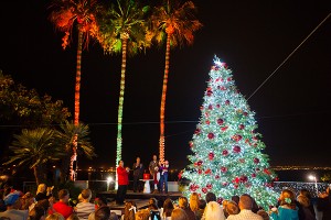 Tuesday, Dec. 1, Light up the Night tree lighting at Loews Coronado Bay Resort